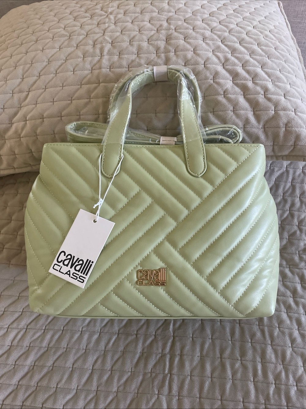 Cavalli Class Mint Green Quilted Satchel with Gold Logo